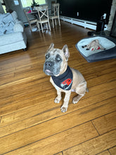 Load image into Gallery viewer, Dog Bandana
