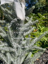 Load image into Gallery viewer, First Christmas Engaged Ornament
