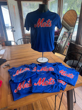 Load image into Gallery viewer, Team Performance Shirt
