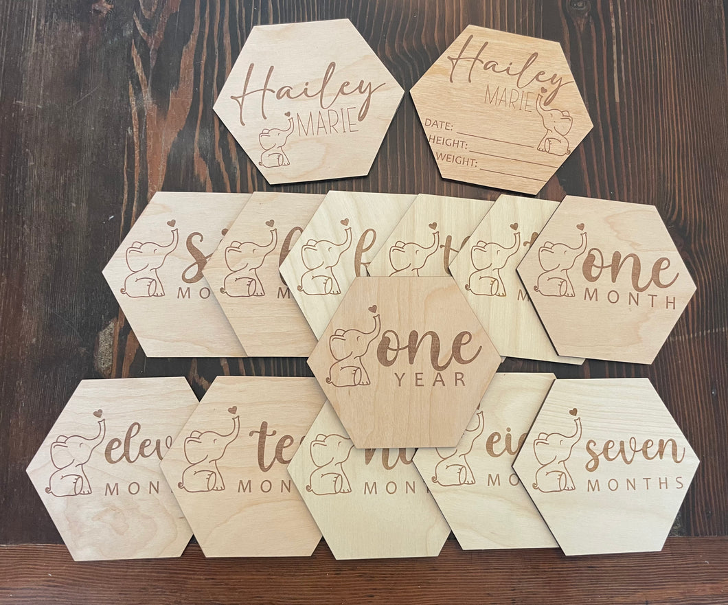 Elephant Themed Milestone Set